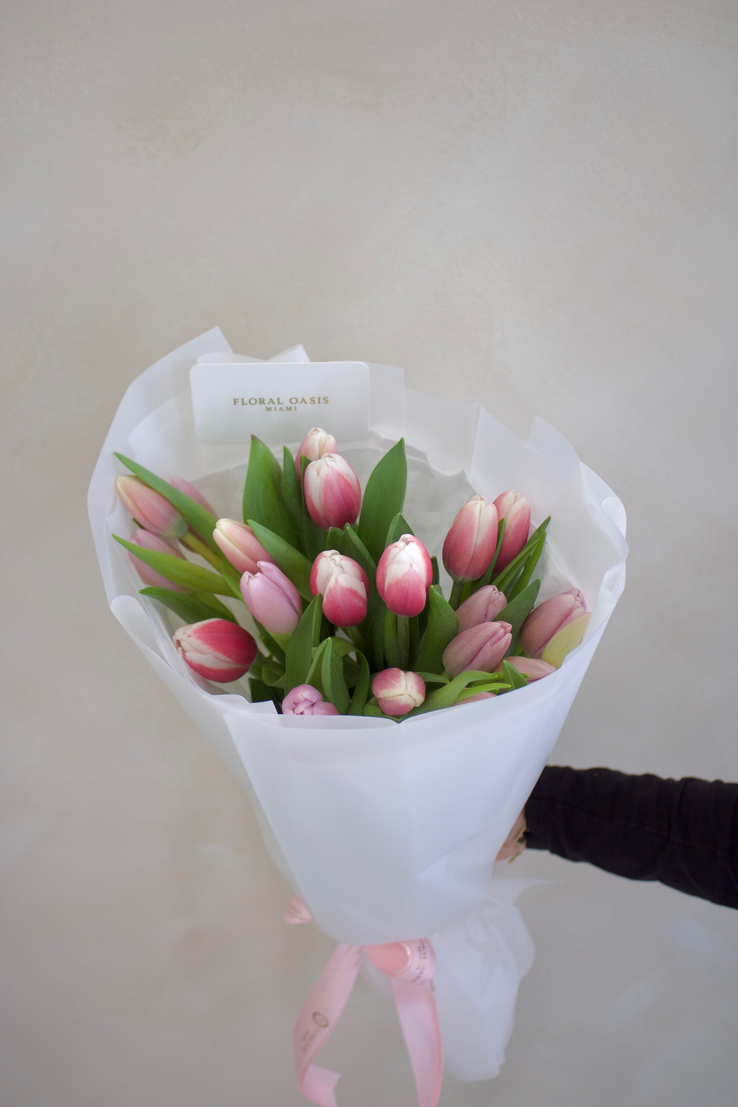 Tulips Garden