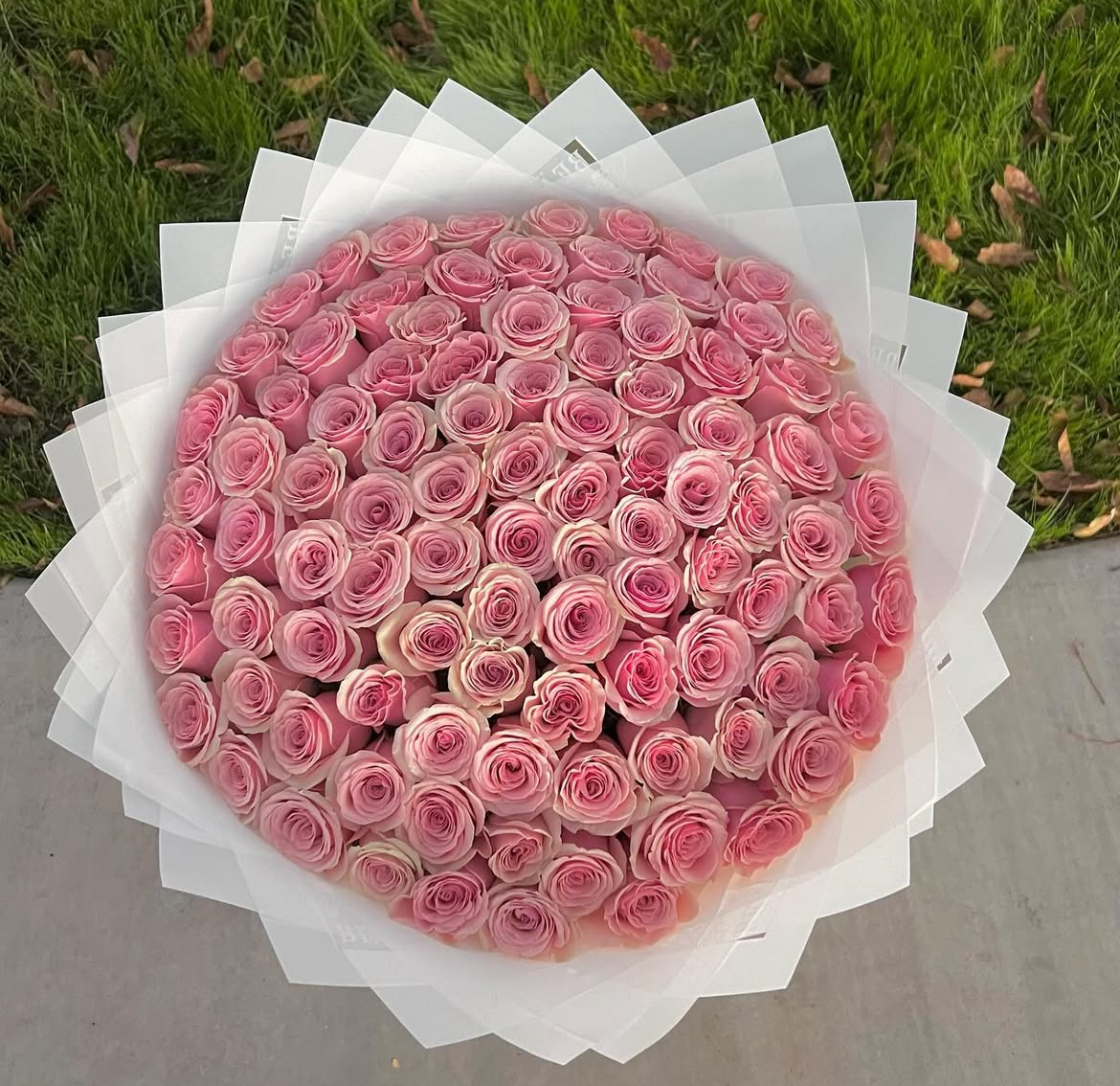 Pink Love
