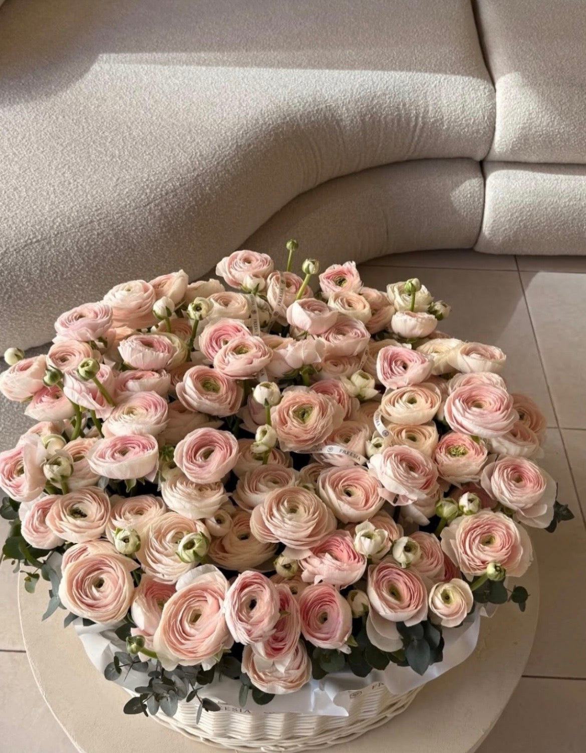 Ranunculus Elegance
