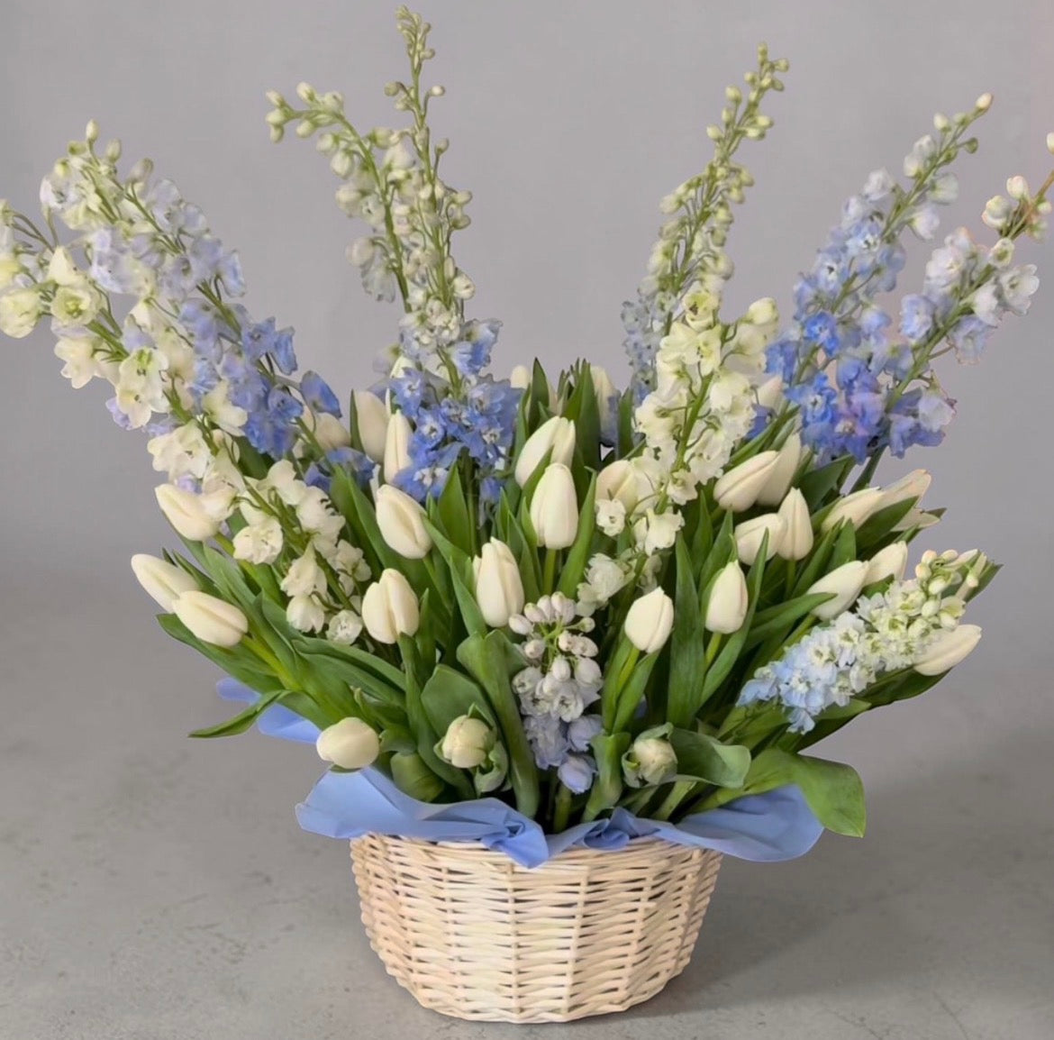 Baby Born Basket