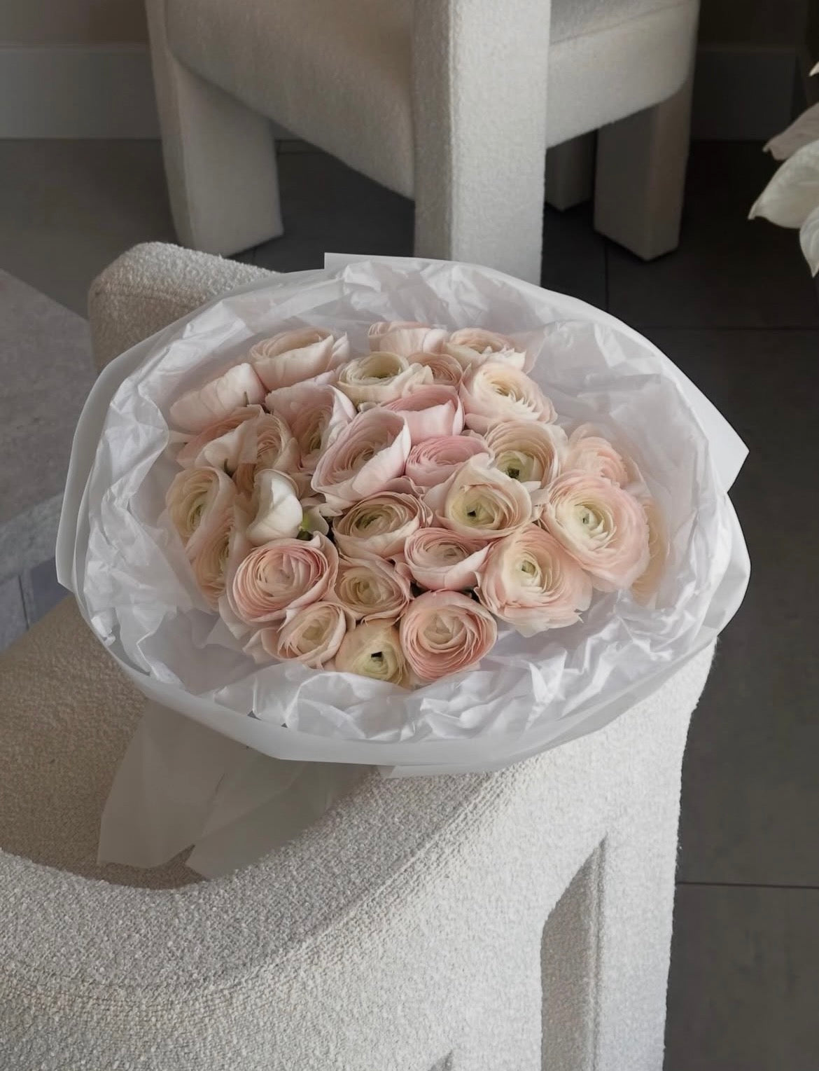 Ranunculus Elegance