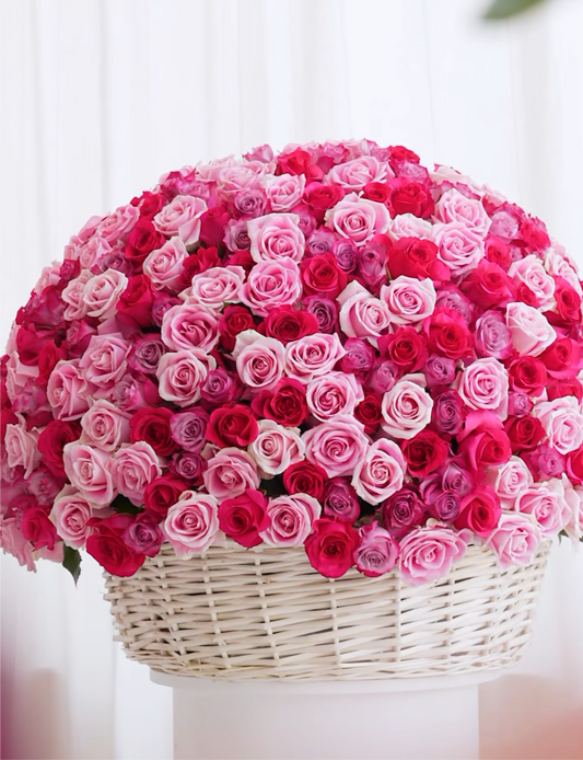 Premium Basket