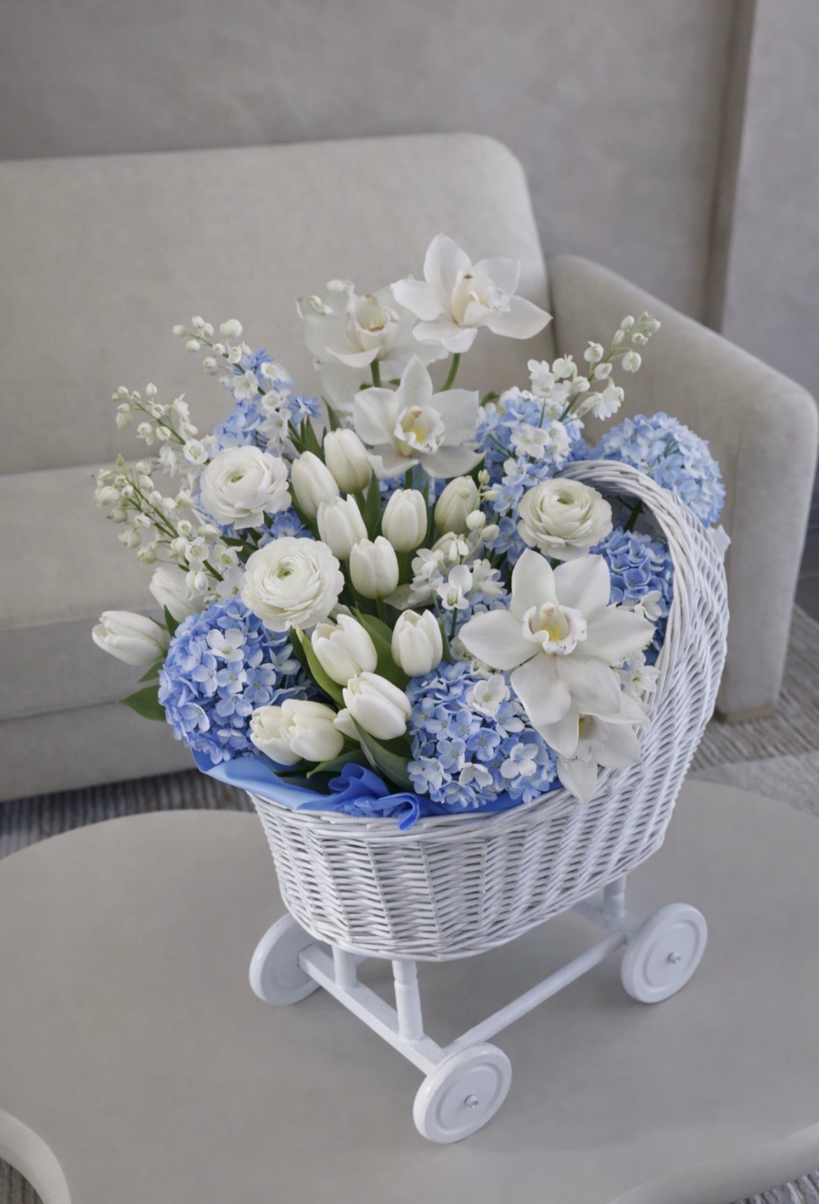 Baby Boy Stroller Basket