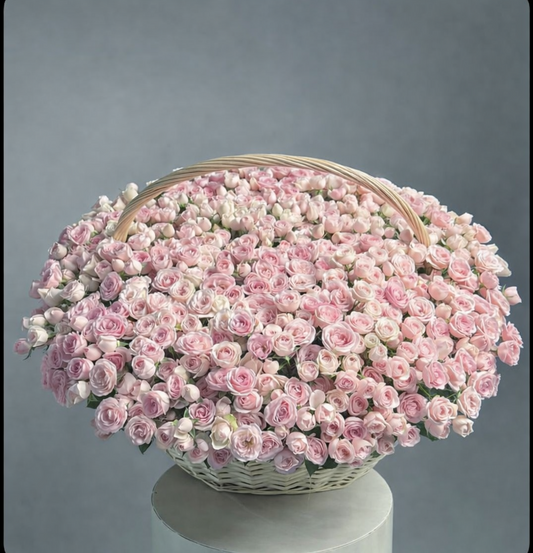 Garden of Spray Roses