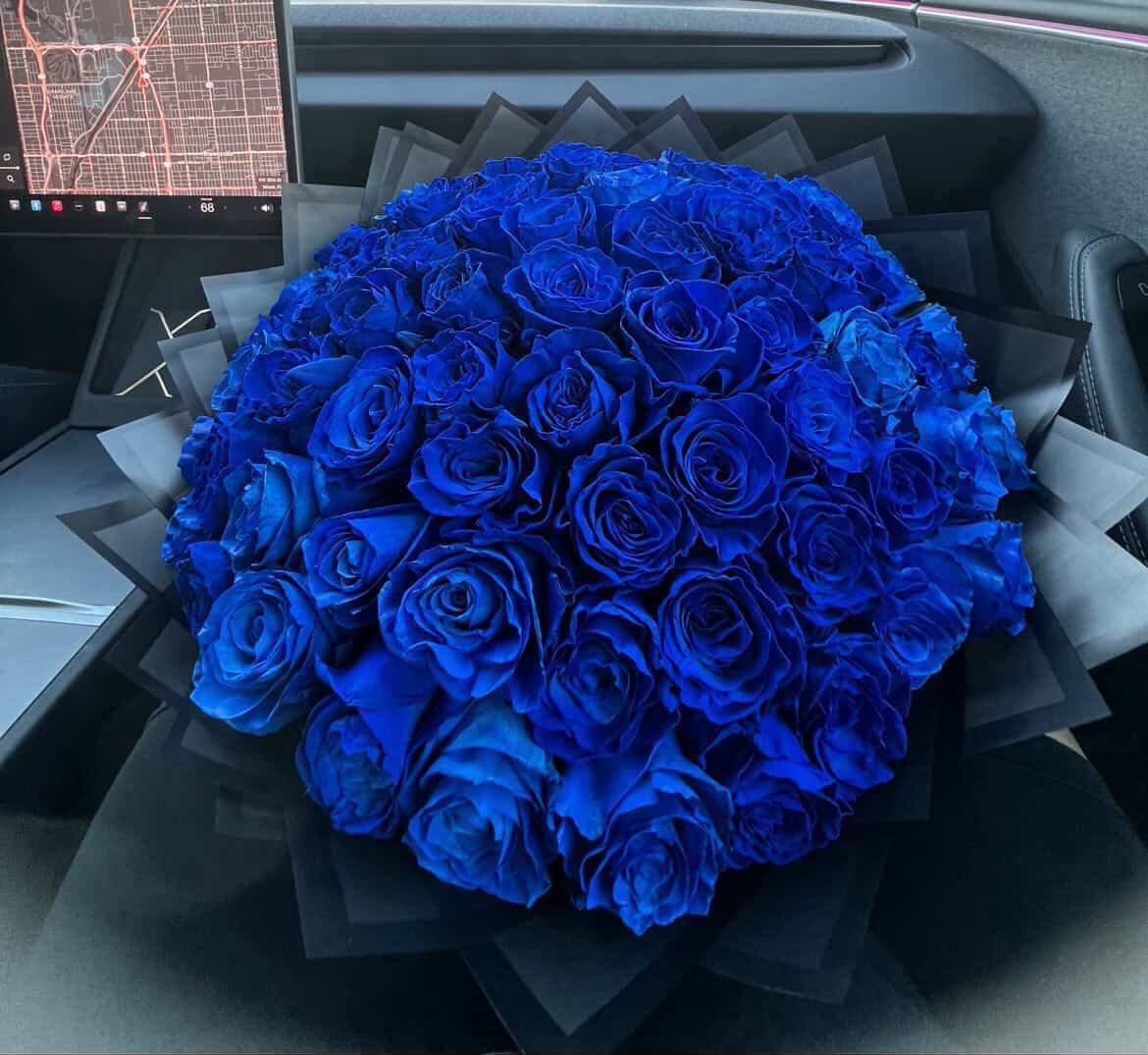 Blue roses
