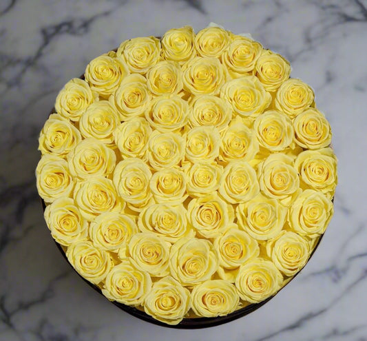 Yellow Eternal Roses