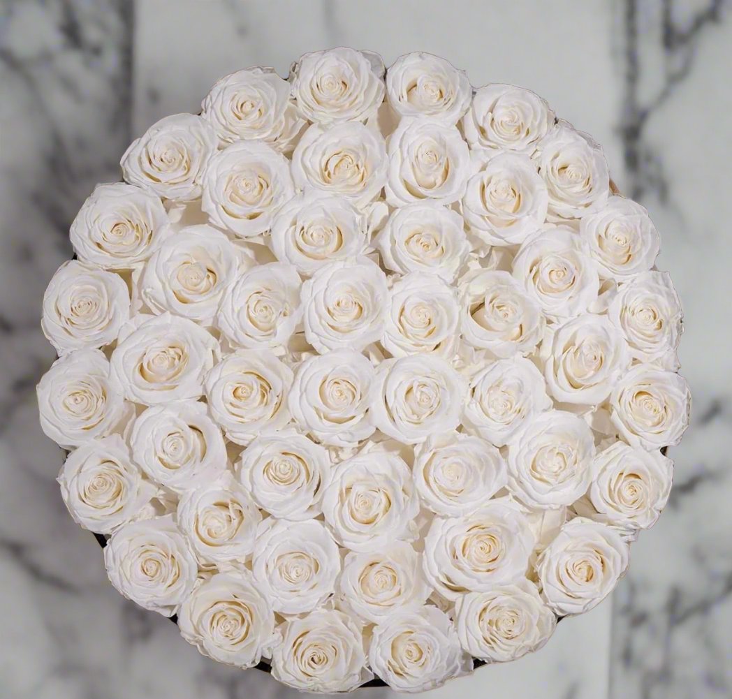 White Eternal Roses