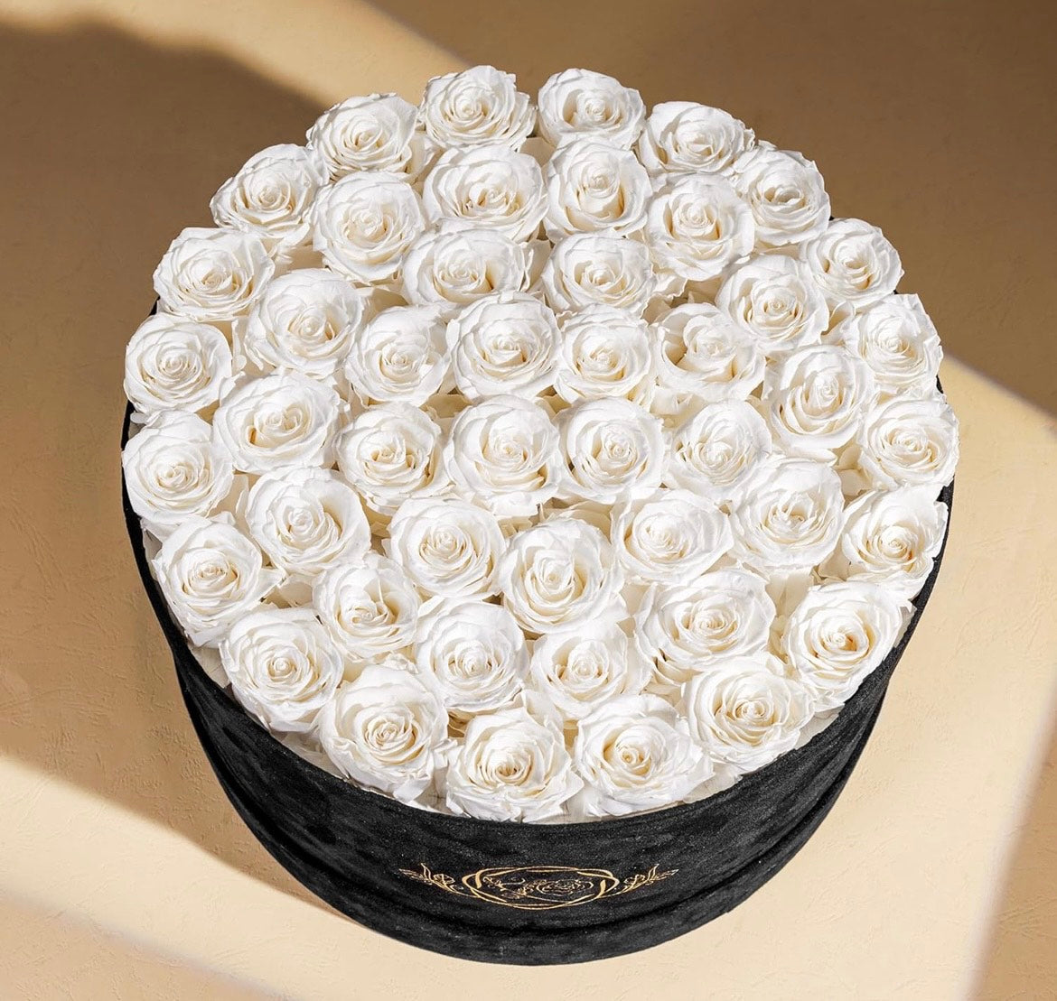 White Eternal Roses