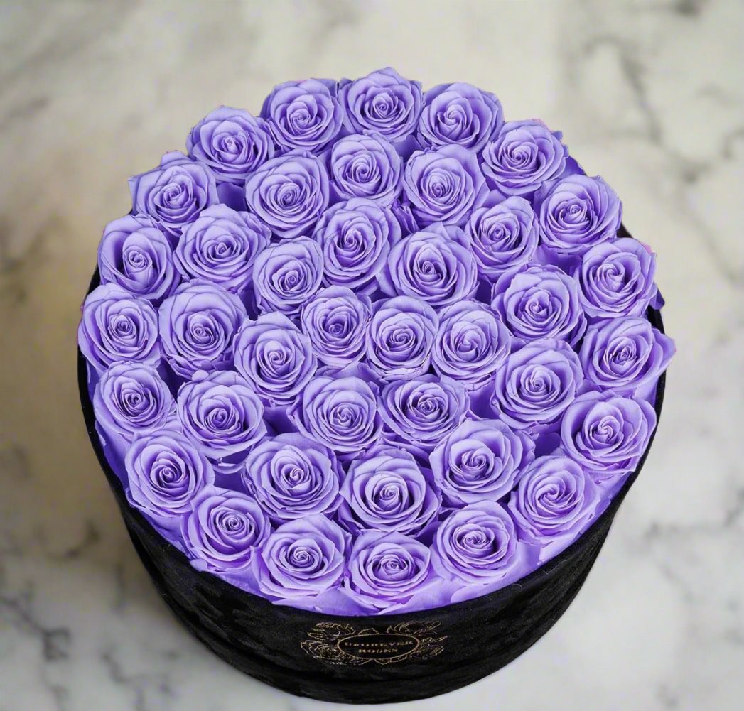 Purple Eternal Roses